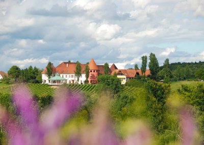 weinschloss-koarl-thaller-2