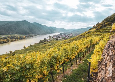 Domäne-Wachau_Blick-auf-Weissenkirchen_(c)-Domäne-Wachau