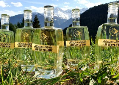 Wiesenbild-Allegra-Lifestyle-Gin