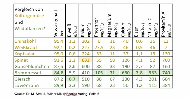 Vergleich von Kulturgemüse und Wildpflanzen